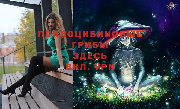 сатива Алексин
