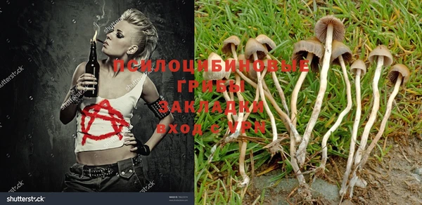 метадон Алзамай