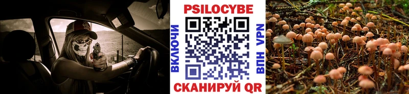 закладка  Южно-Сахалинск  Псилоцибиновые грибы прущие грибы 